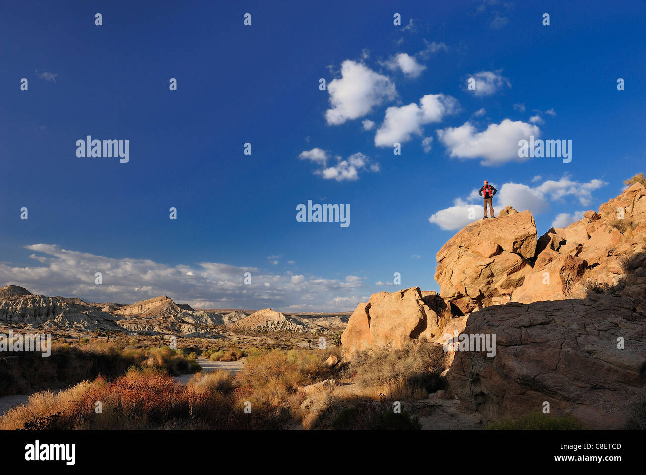 Red Rock Canyon, State Park, Californie, USA, United States, Nord, paysage Banque D'Images