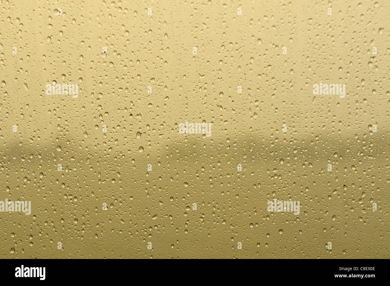 La pluie, par, fenêtre, les chutes, l'eau, USA, Banque D'Images
