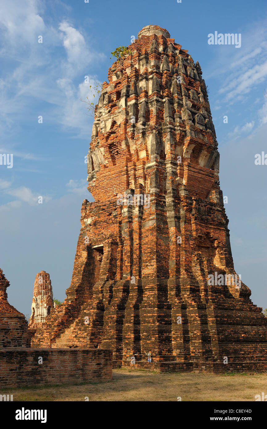 Wat Maha That, l'UNESCO, Patrimoine Mondial, Site, Ayutthaya, Thaïlande, Asie, tour Banque D'Images