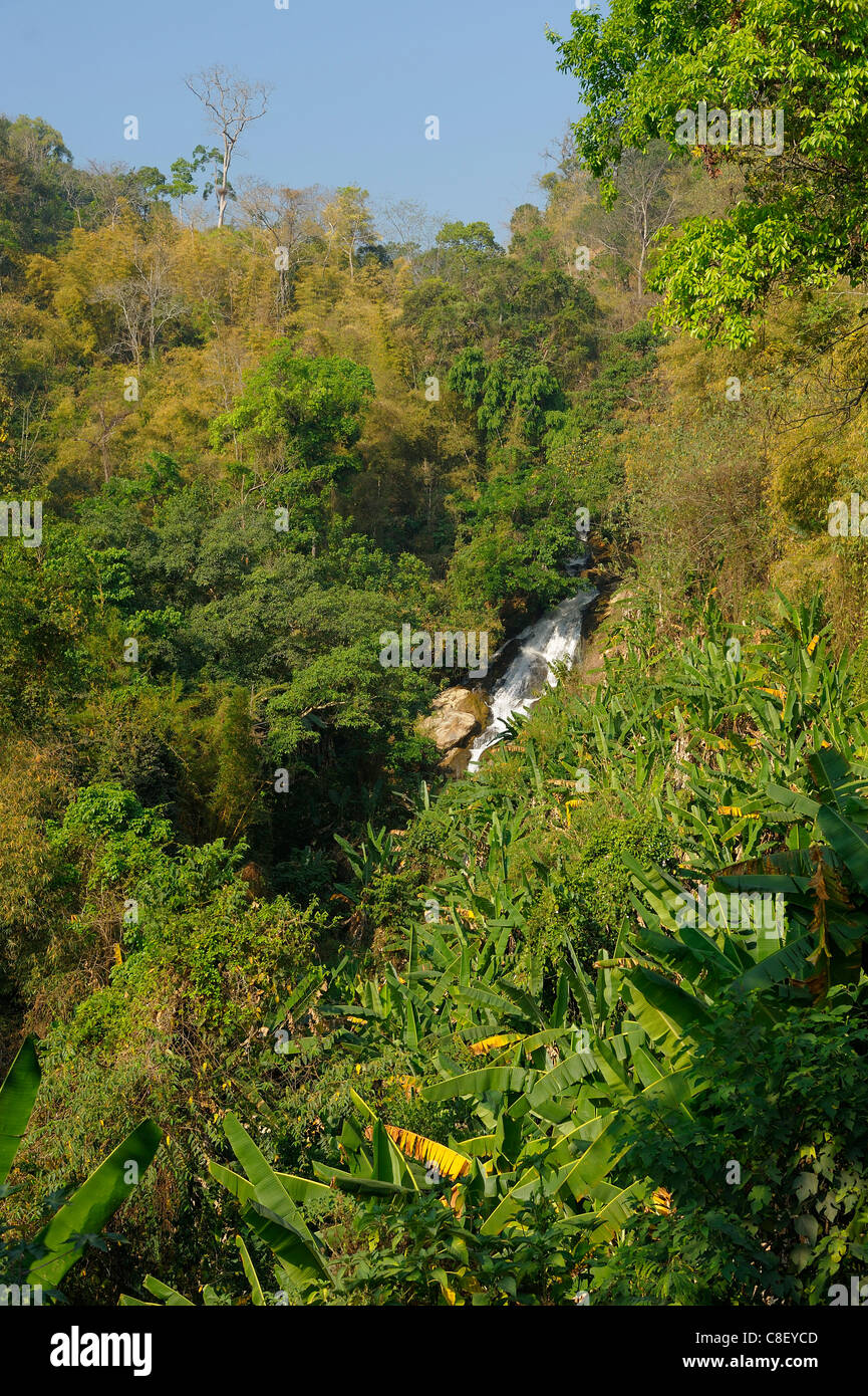 Cascade, Mae Sa, vert, vallée, Chiang Mai, Thaïlande, Asie, Banque D'Images