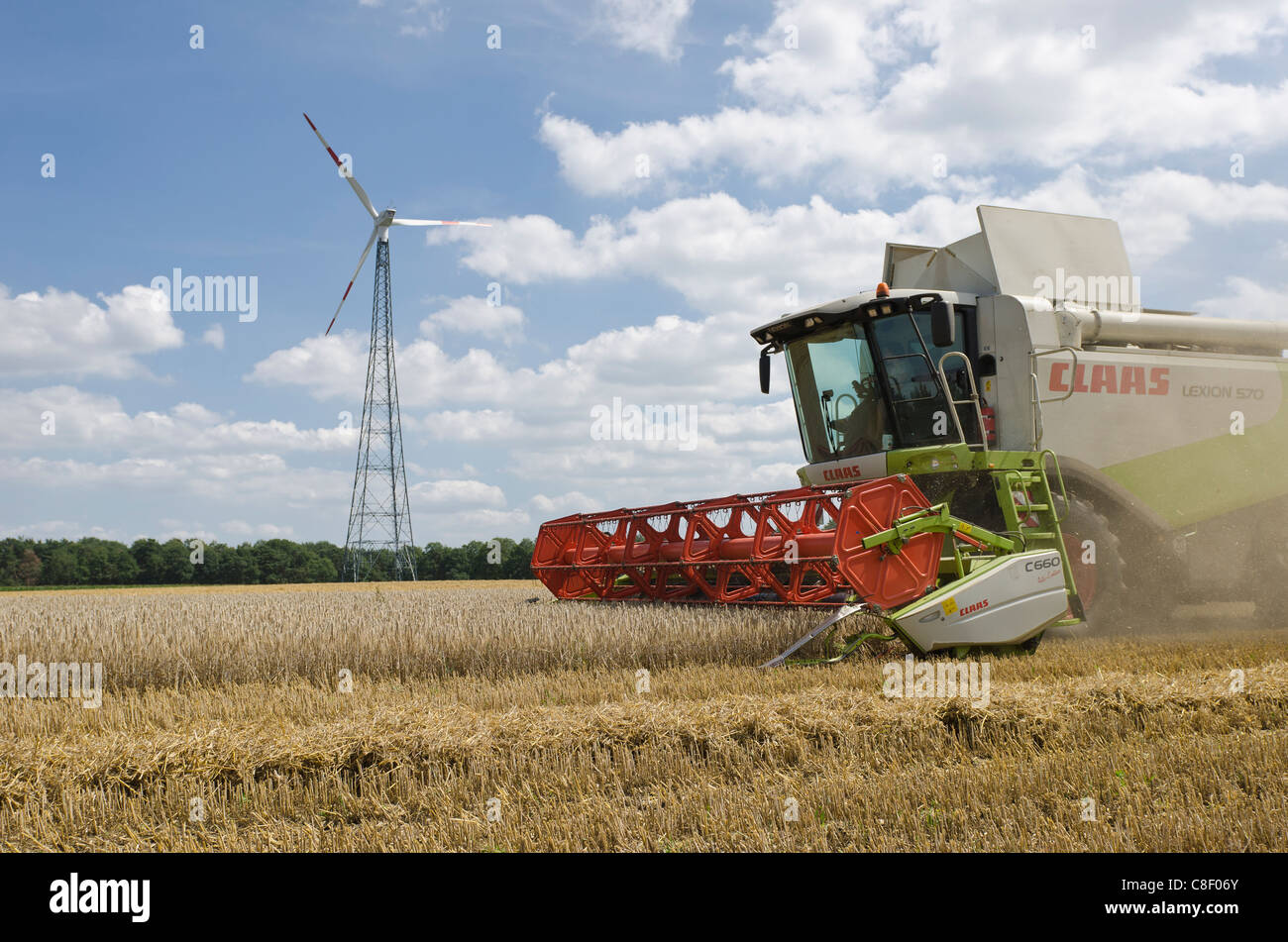 Moissonneuse-batteuse Claas Récolte du blé Agriculture Agriculture Banque D'Images