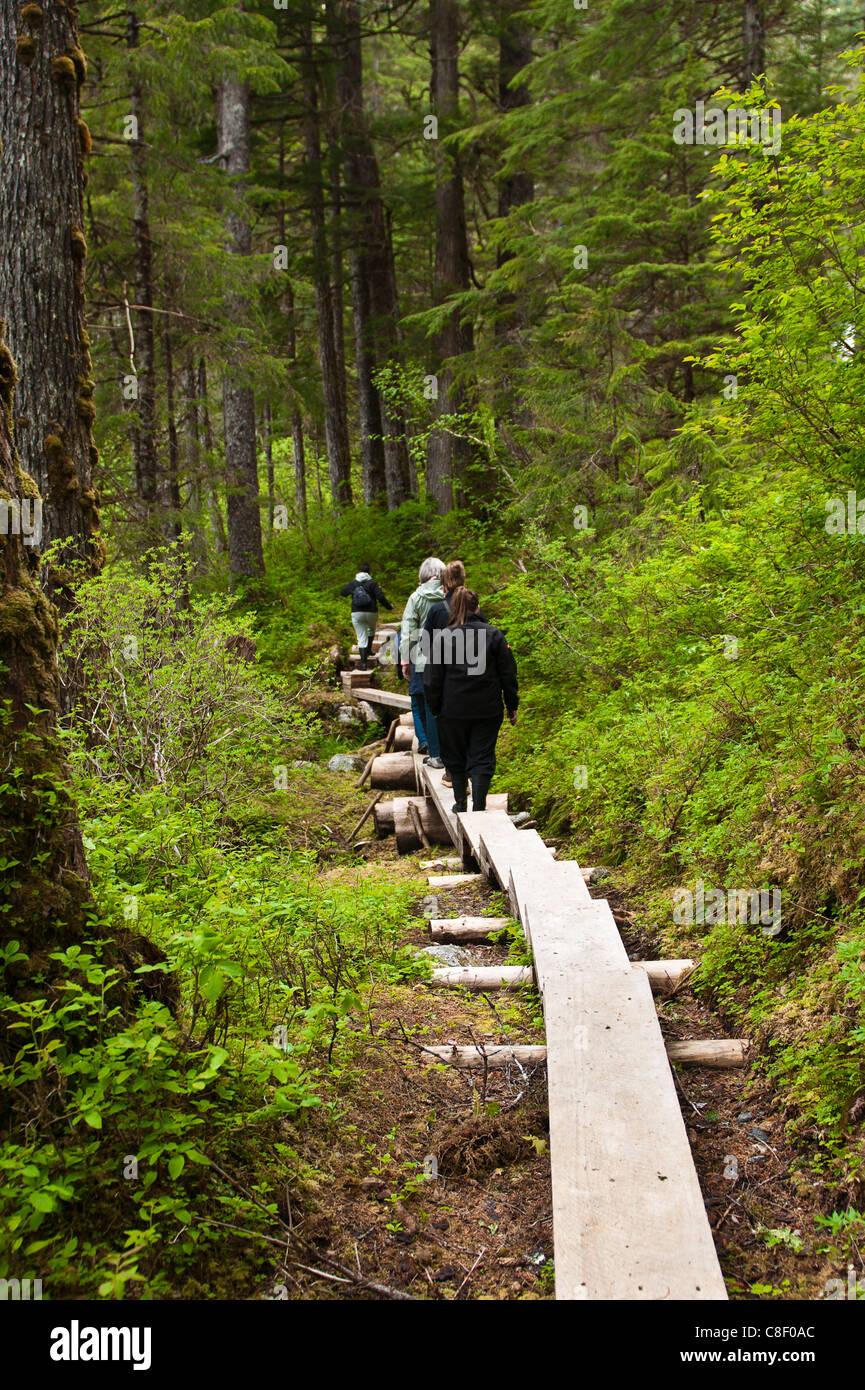 Sentier du ruisseau Cascade, Thomas Bay Région de l'Alaska, États-Unis d'Amérique Banque D'Images