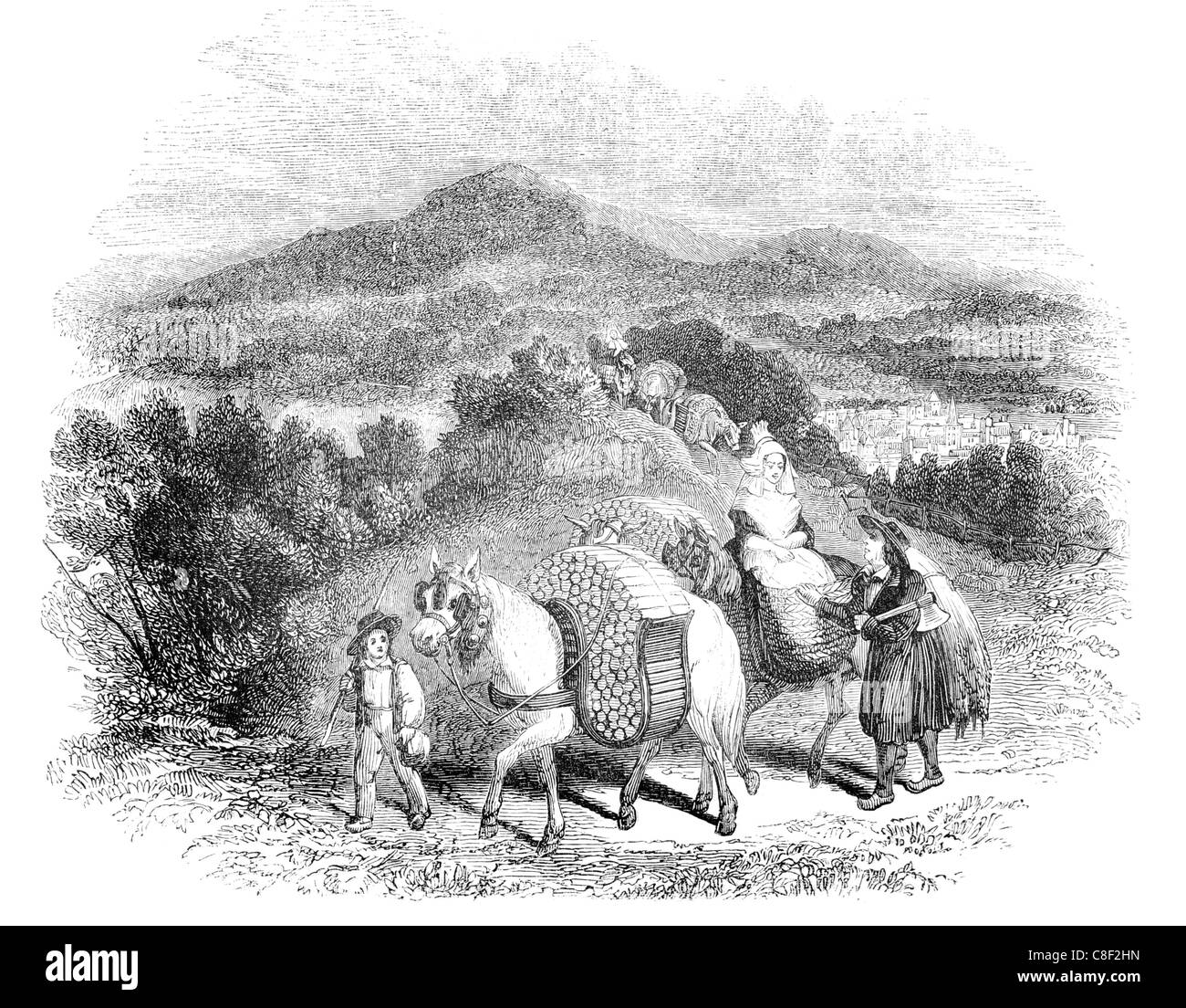 Bois forêt Normande Brotonne transporteurs forester ramassage du bois la coupe de bois de ax Ax livré Banque D'Images