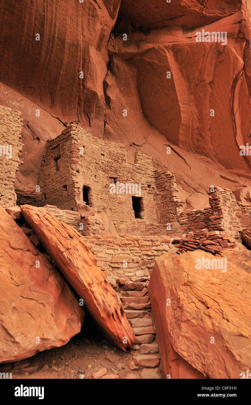 Habitation anasazi, falaise, ruine, Monticello, River House, San Juan, Bluff, du Plateau du Colorado, Utah, USA, United States, Ameri Banque D'Images Habitation anasazi, falaise, ruine, Monticello, River House, San Juan, Bluff, du Plateau du Colorado, Utah, USA, United States, Ameri Banque D'Images