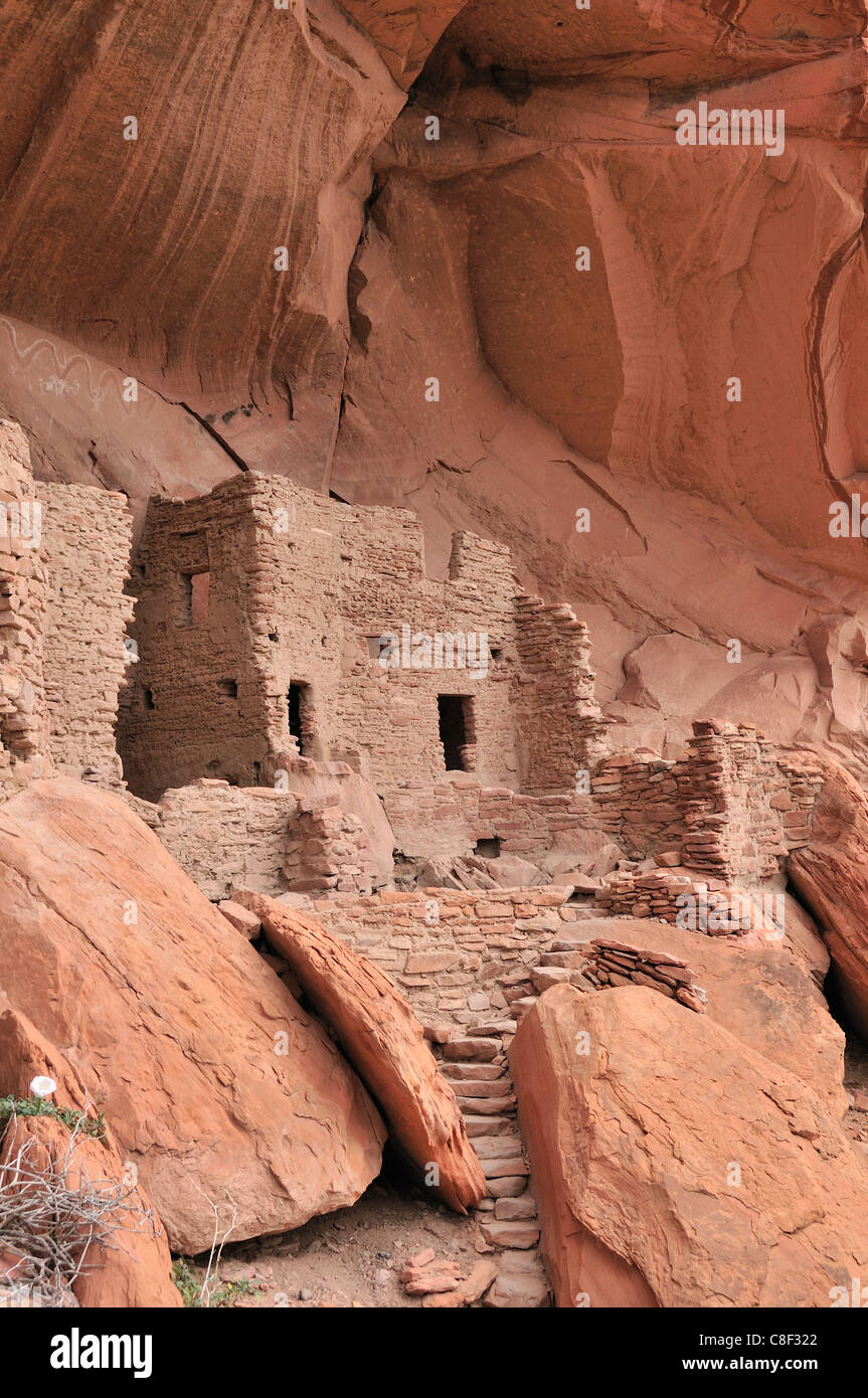 Habitation anasazi, falaise, ruine, Monticello, River House, San Juan, Bluff, du Plateau du Colorado, Utah, USA, United States, Ameri Banque D'Images Habitation anasazi, falaise, ruine, Monticello, River House, San Juan, Bluff, du Plateau du Colorado, Utah, USA, United States, Ameri Banque D'Images