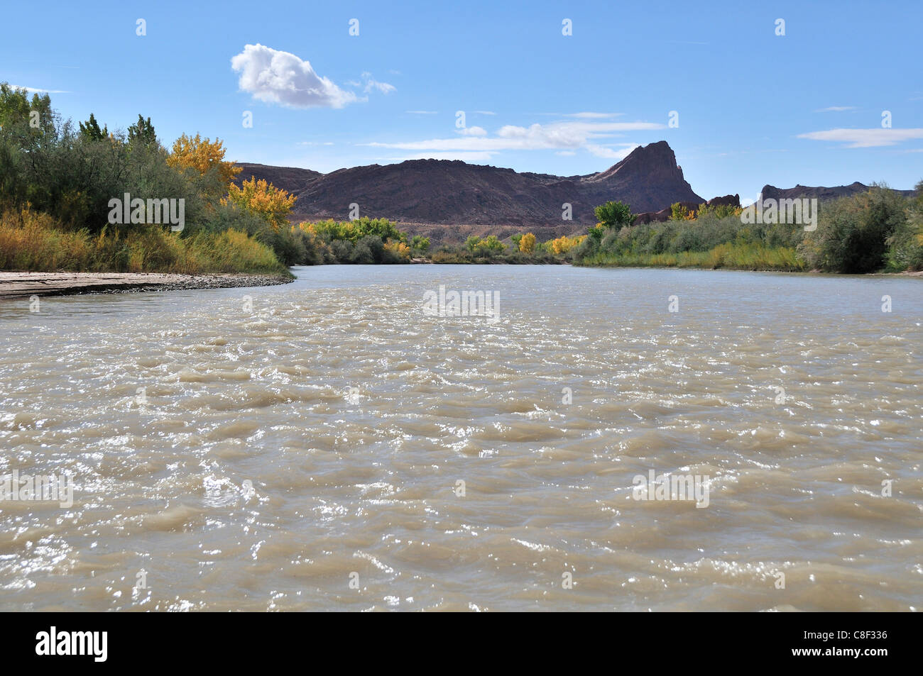 Rivière San Juan, entre Bluff et Mexican Hat, du Plateau du Colorado, Utah, USA, United States, Amérique, Banque D'Images