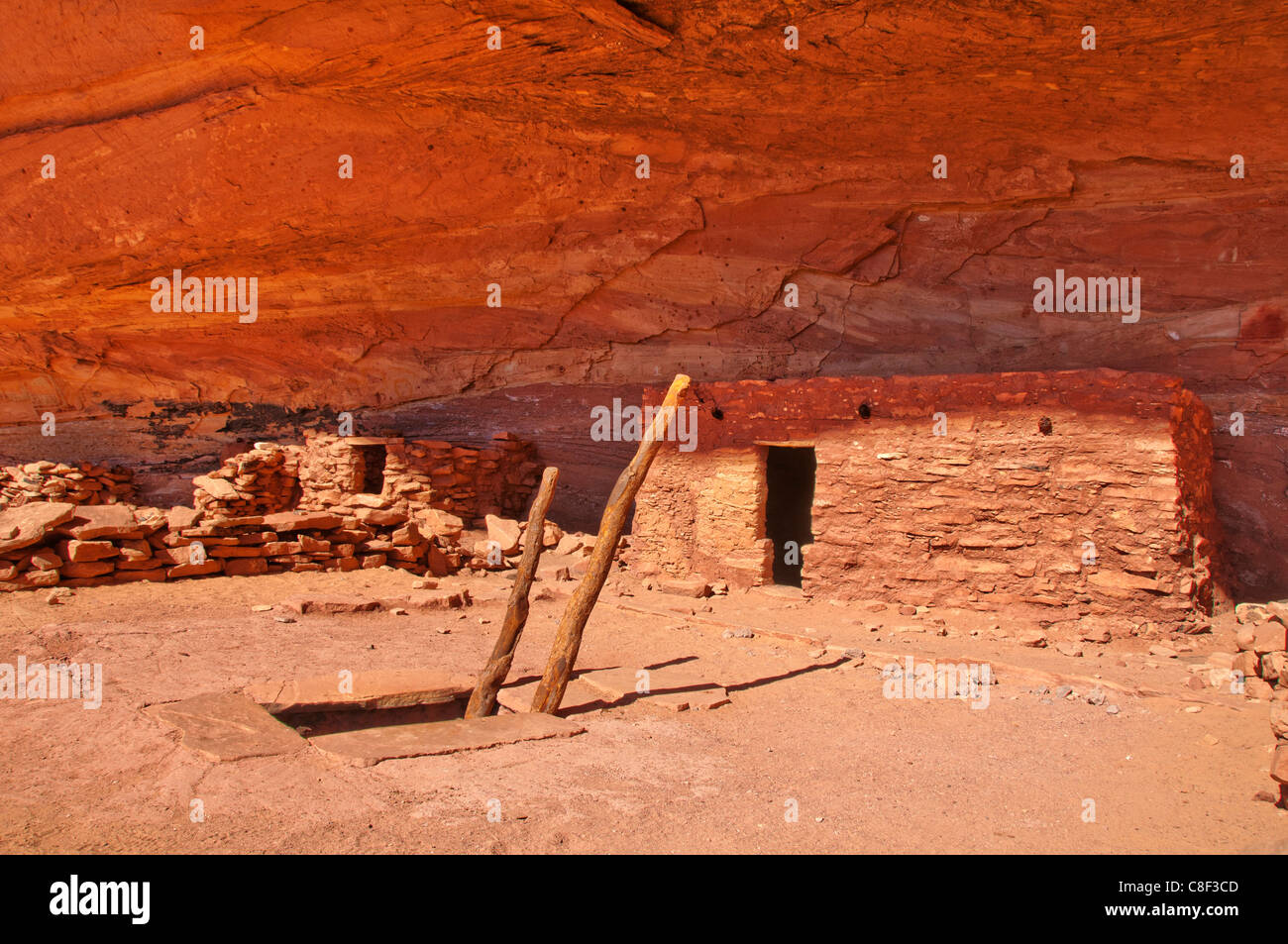 Anasazi, Cliff dwellings, Parfait Kiva, ruine, Bullet Canyon, Grand Gulch Zone Primitive, Cedar Mesa, du Plateau du Colorado, Utah, USA Banque D'Images