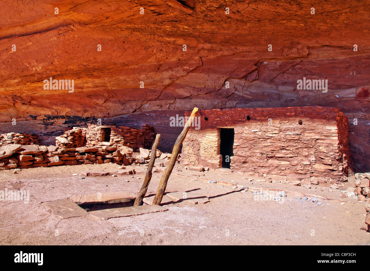 Anasazi, Cliff dwellings, Parfait Kiva, ruine, Bullet Canyon, Grand Gulch Zone Primitive, Cedar Mesa, du Plateau du Colorado, Utah, USA Banque D'Images