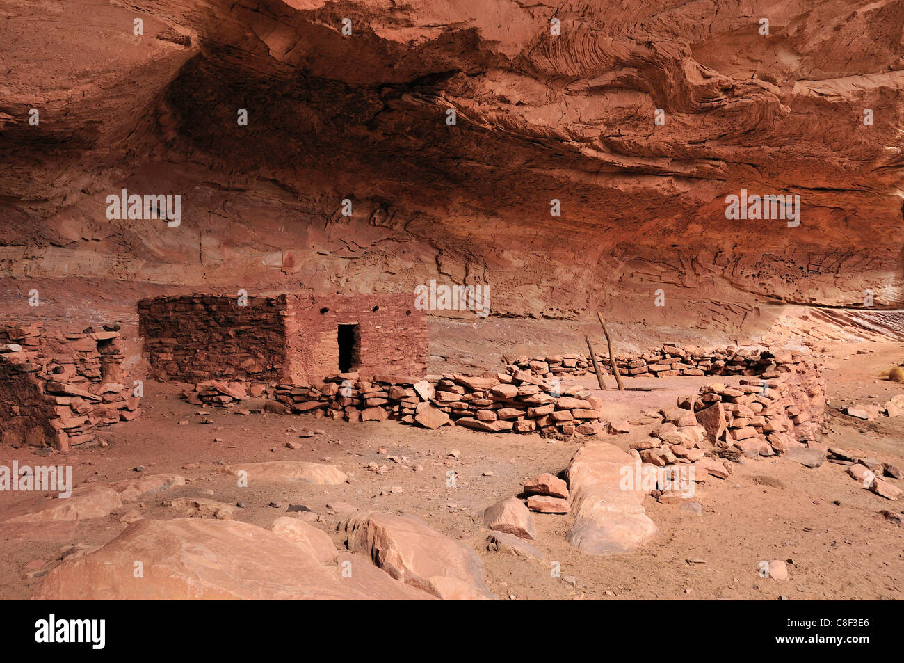 Anasazi, Cliff dwellings, Parfait Kiva, ruine, Bullet Canyon, Grand Gulch Zone Primitive, Cedar Mesa, du Plateau du Colorado, Utah, USA Banque D'Images