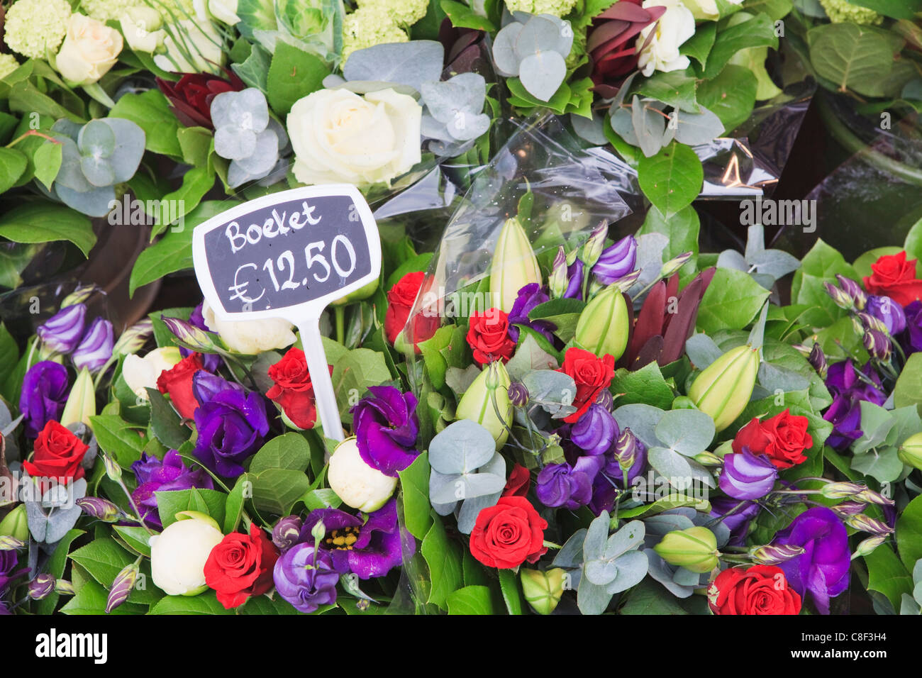 Fleurs à afficher dans le Bloemenmarkt (marché aux fleurs, Amsterdam, Pays-Bas Banque D'Images