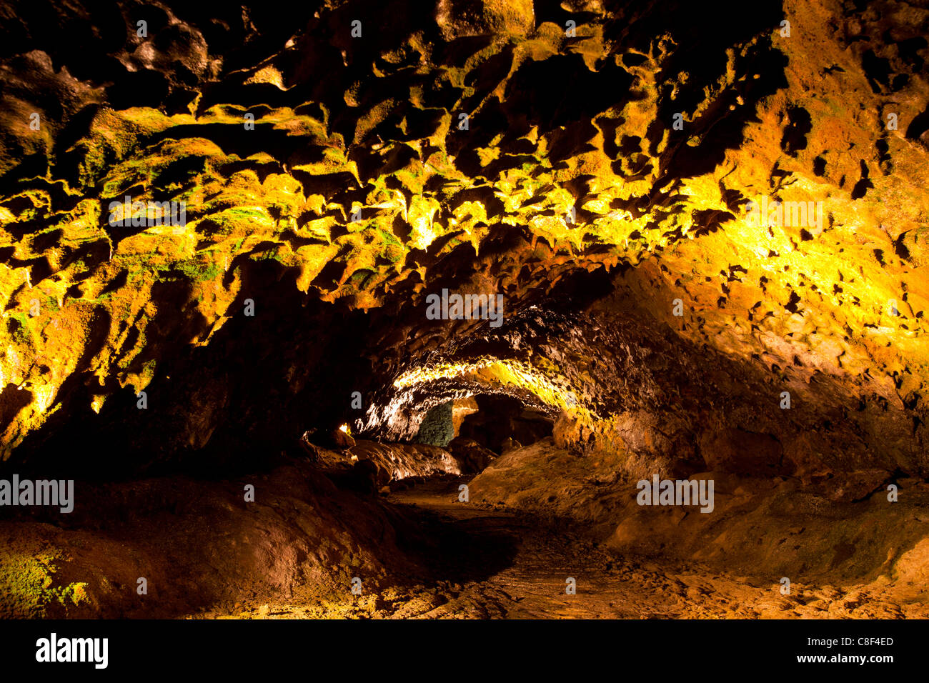 Grutas de São Vicente, le Portugal, l'Europe, de Madère, caverne, grotte de lave, volcanisme Banque D'Images