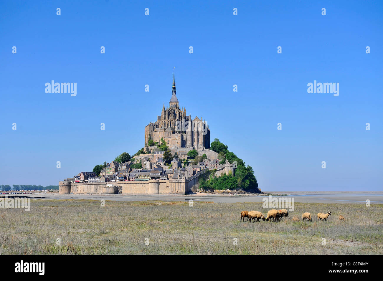 Abbaye du Mont Saint-Michel, Site du patrimoine mondial de l'UNESCO, Normandie, France Banque D'Images