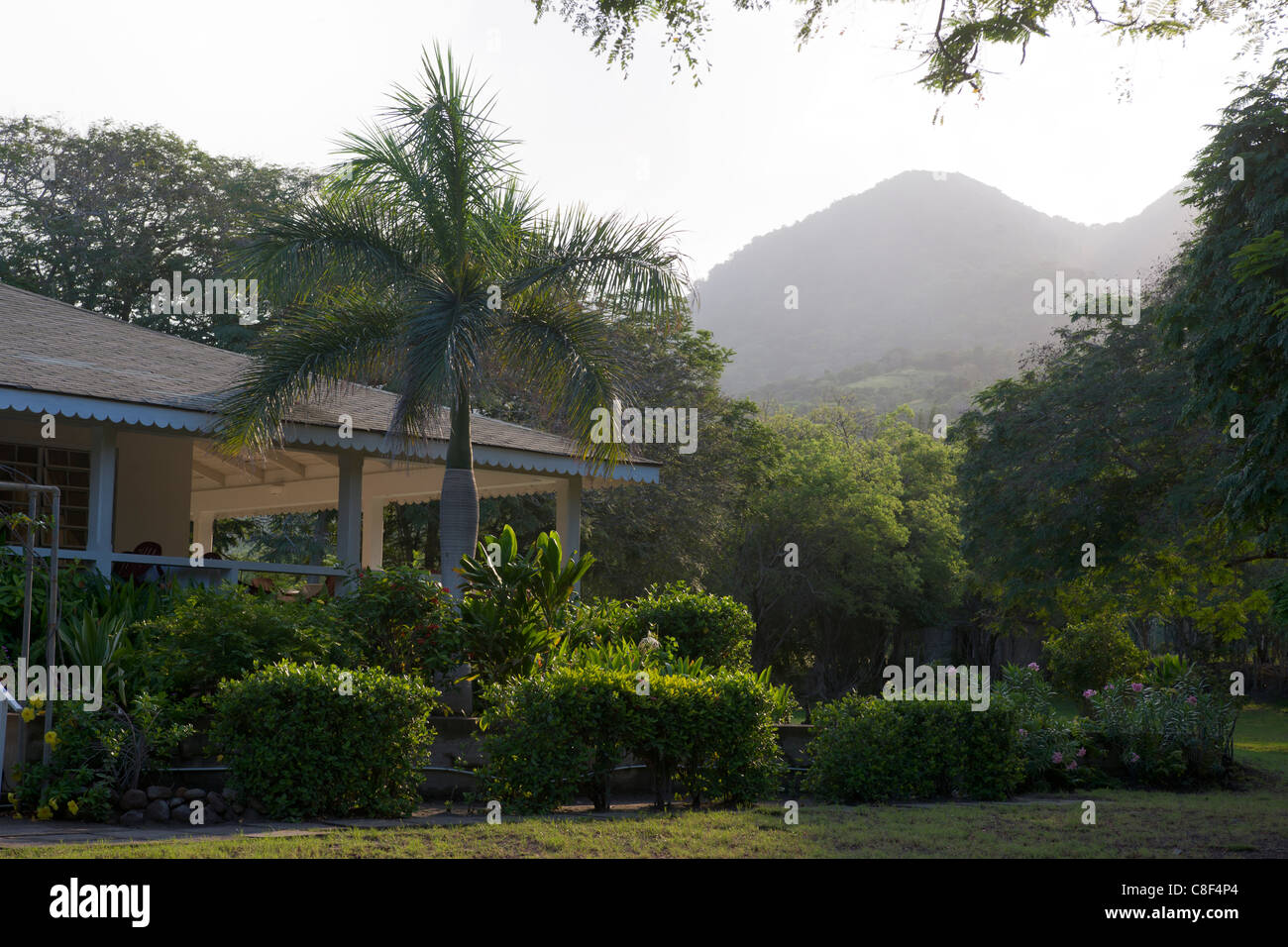 Jardins de Olveston House guesthouse, administré par George Martin, Montserrat Banque D'Images