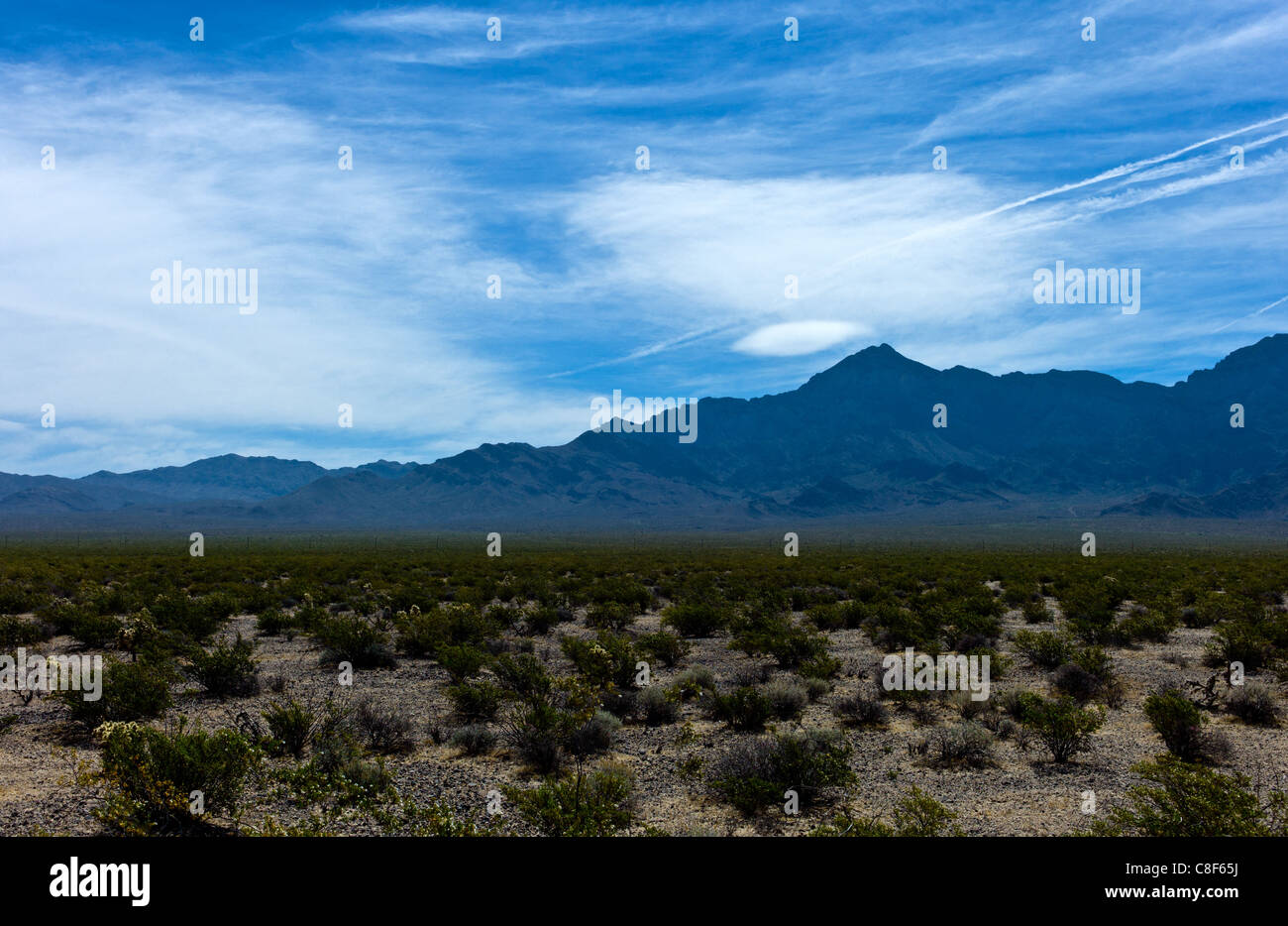 États-unis Californie, la réserve nationale de Mojave, près de la Route 66 Banque D'Images
