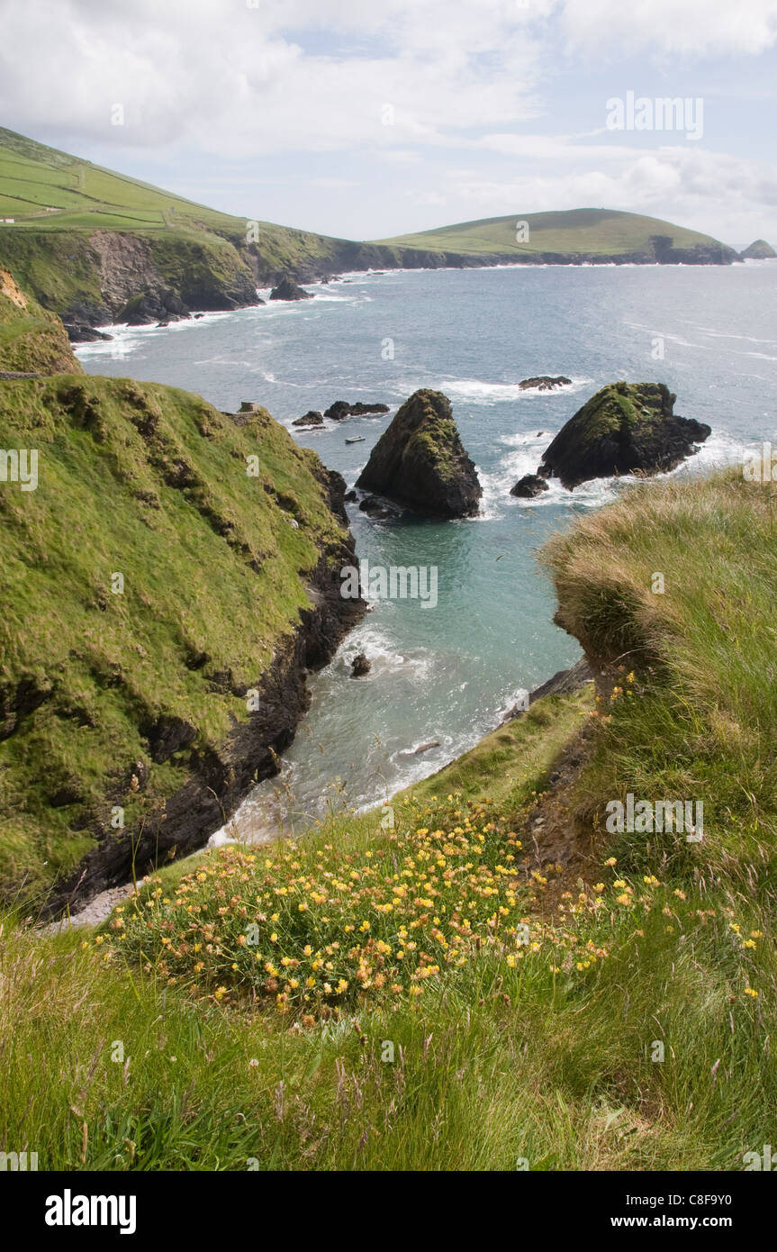 Vue depuis Slea Head près de Dunquin, péninsule de Dingle, comté de Kerry, Munster, République d'Irlande Banque D'Images