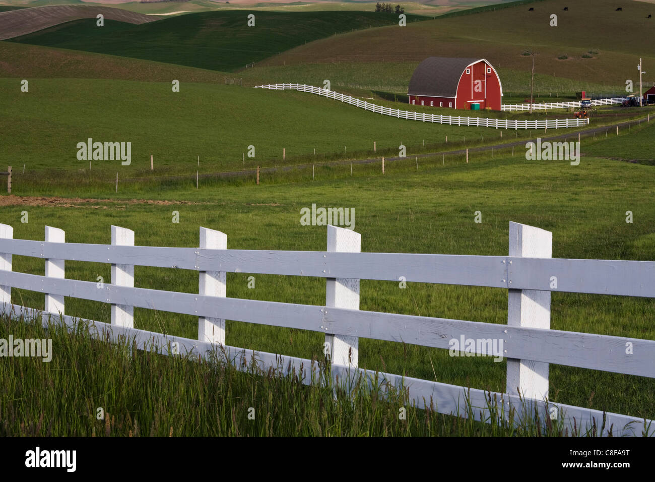 Grange dans la Palouse, État de Washington, États-Unis d'Amérique Banque D'Images