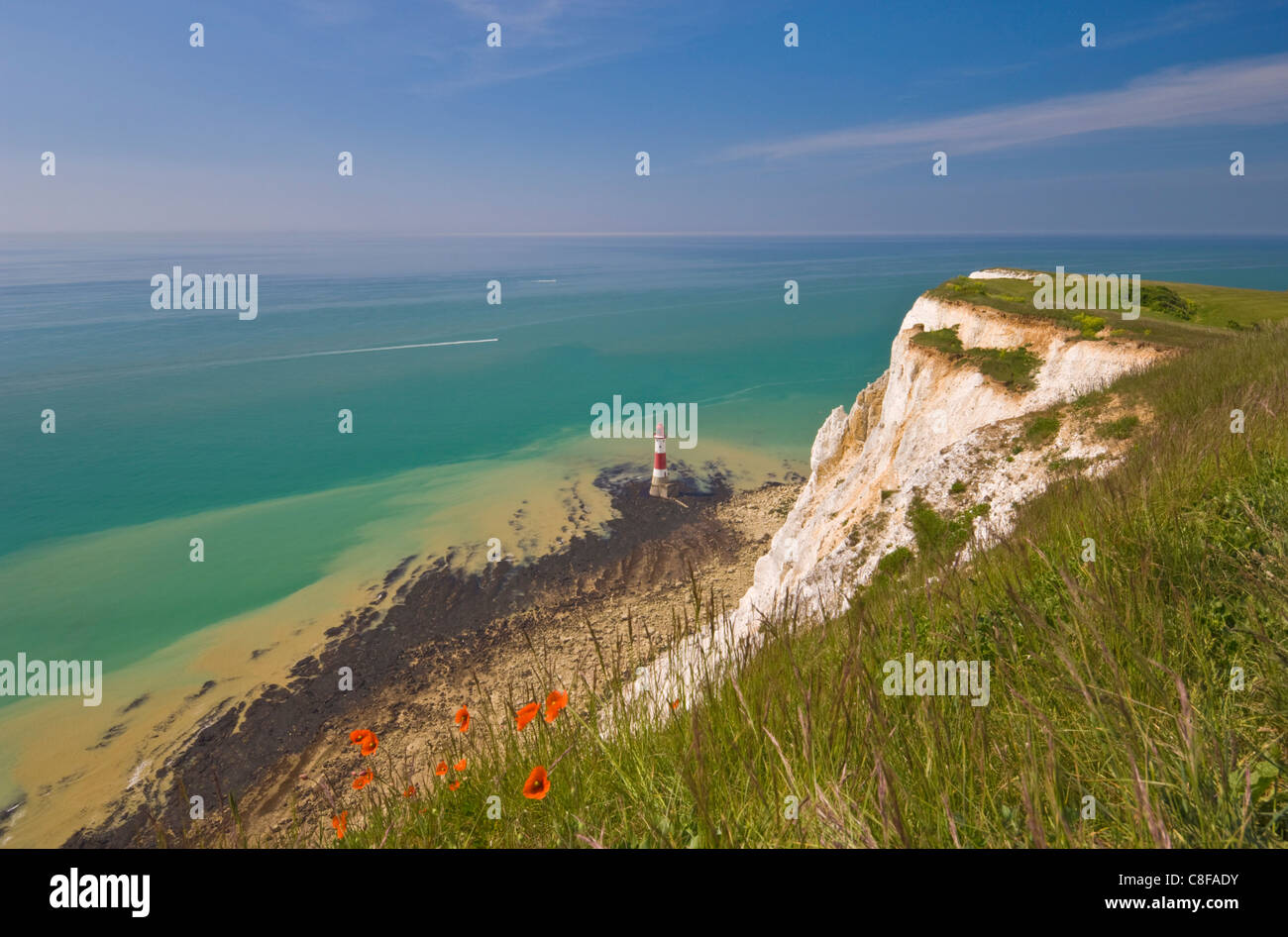 Beachy Head Lighthouse, falaises de craie blanche, les coquelicots et la Manche, East Sussex, Angleterre, Royaume-Uni Banque D'Images