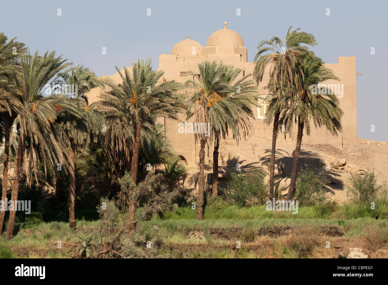 Une section de la rivière du Nil avec banque de brique de boue derrière la mosquée moderne plusieurs grands palmiers, l'Égypte, l'Afrique Banque D'Images