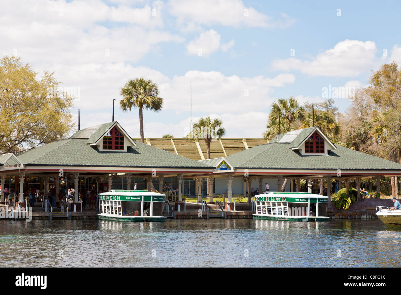 Park, vous prenez le bateau à fond de verre tour de la rivière d'argent à Silver Springs State Park à Ocala en Floride Banque D'Images