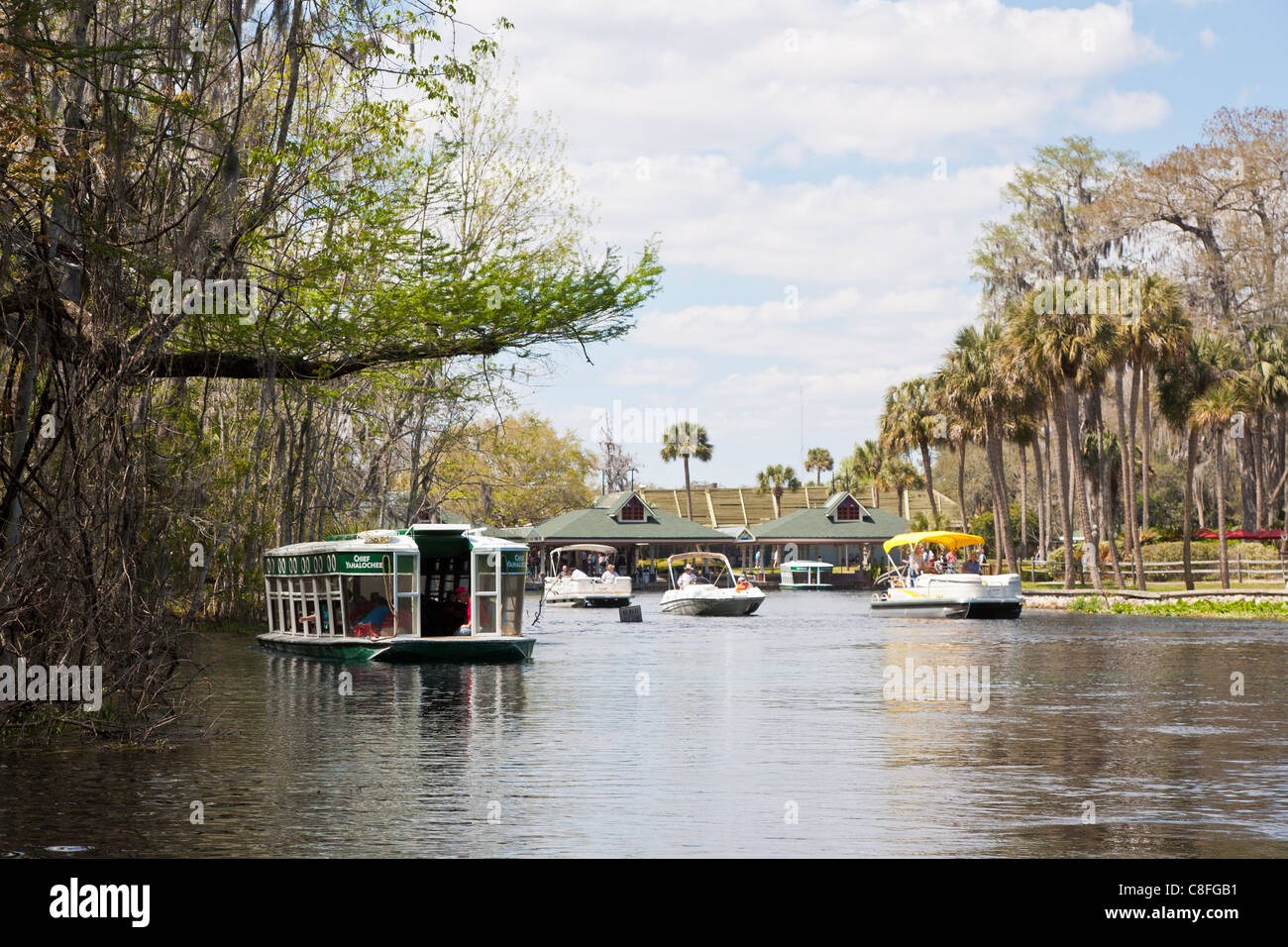 Des bateaux privés et des bateaux à fond de verre printemps chef de Silver Springs State Park à Ocala en Floride Banque D'Images