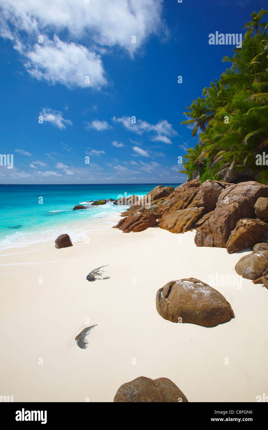 Plage déserte, La Digue, Seychelles, océan Indien Banque D'Images