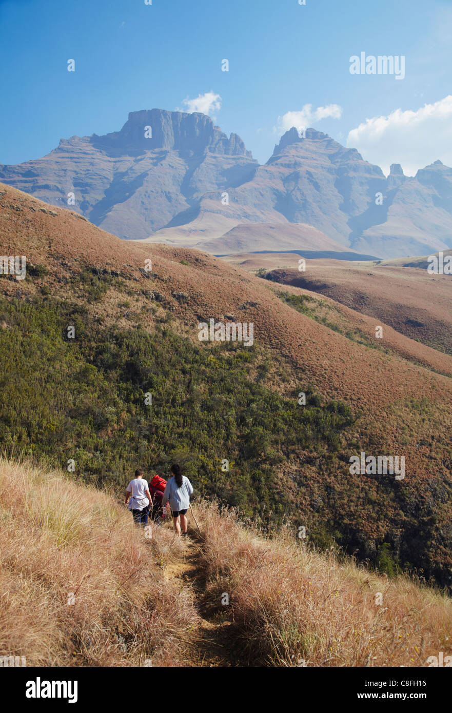 Tableau de bord du moine, réserve naturelle Parc Ukhahlamba-Drakensberg, UNESCO World Heritage Site, Kwazulu-Natal, Afrique du Sud Banque D'Images