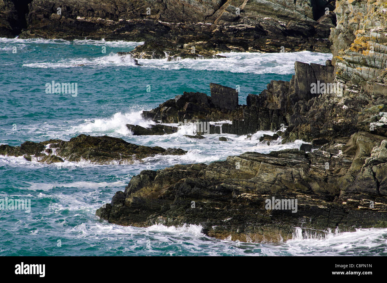 La base de la falaise, Penrhyn Mawr, Anglesey, Pays de Galles. Banque D'Images