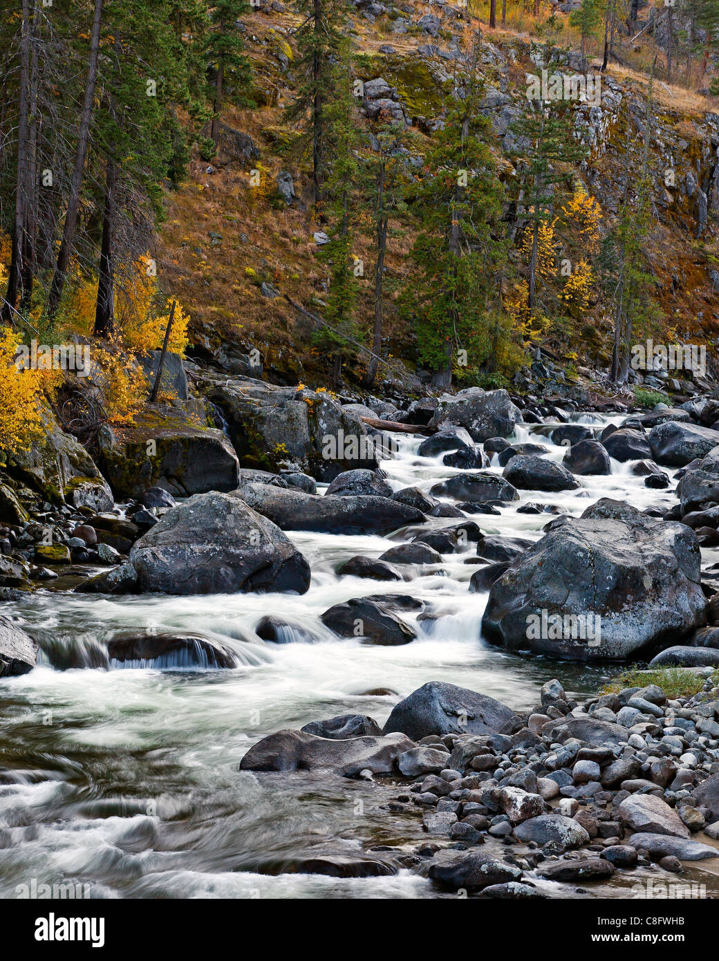 Icicle creek avec de l'eau cascade sur les rochers, à l'automne Banque D'Images
