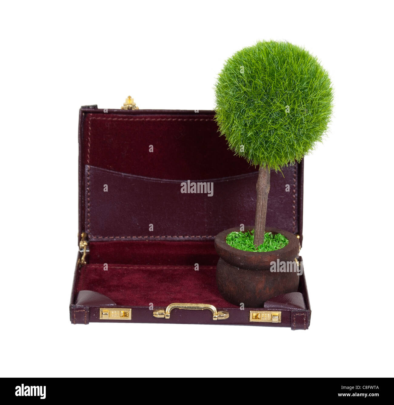 L'entreprise verte illustré par un grand arbre en pot dans un porte-documents : chemin inclus Banque D'Images