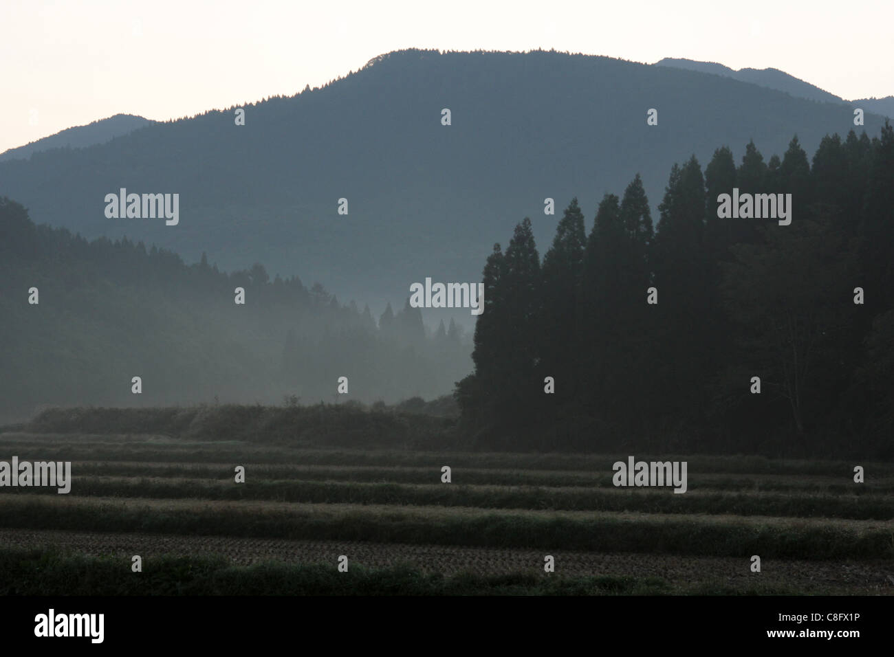 Rideau de fer d'une ancienne boucherie au Japon Banque D'Images