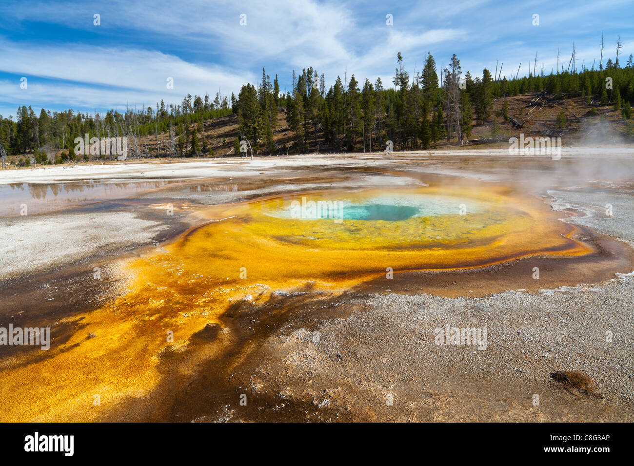 Piscine chromatique dans le Parc National de Yellowstone Banque D'Images