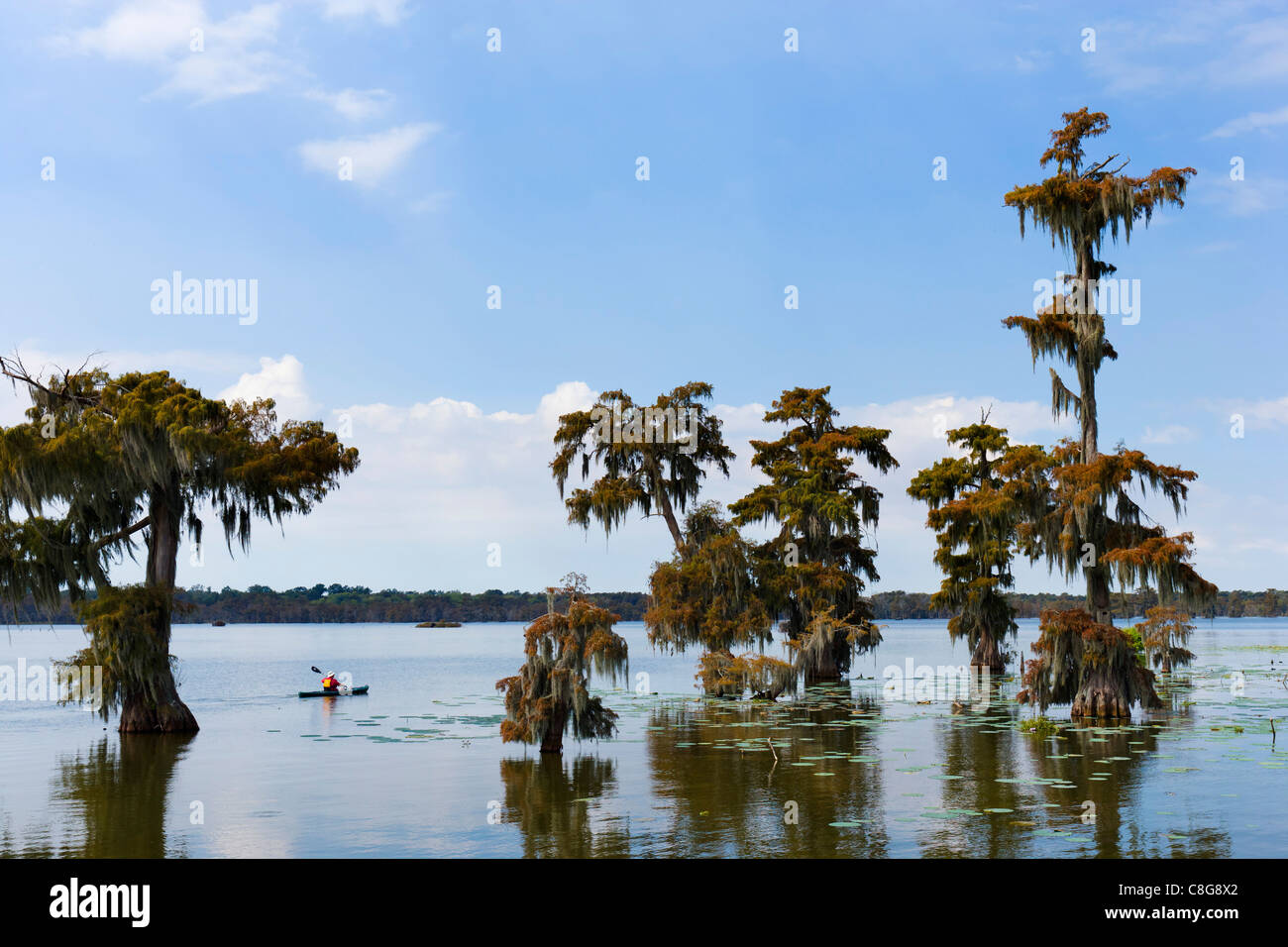 Kayak sur le lac Martin dans la Louisiane bayoux près de Breaux Bridge, pays Cajun, Louisiane, Etats-Unis Banque D'Images