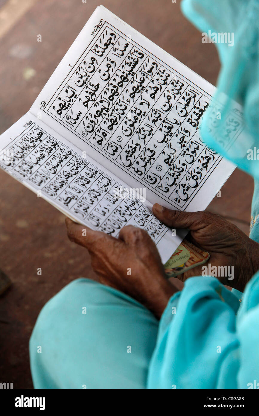 Les femmes à la lecture Jamma Masjid (Grande Mosquée de Delhi, Delhi, Inde Banque D'Images