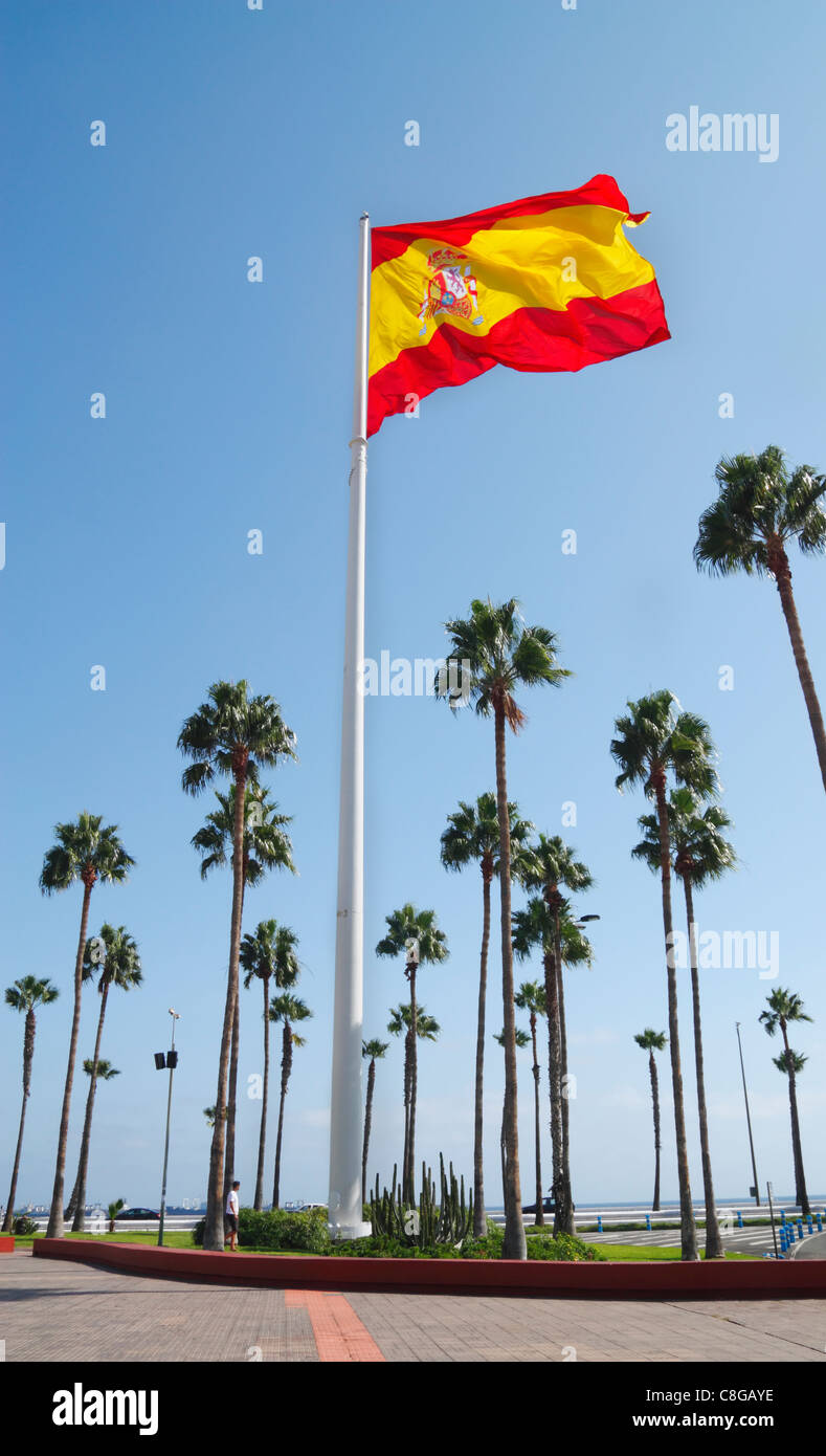 Drapeau espagnol espagne battant palmiers grand large Banque D'Images