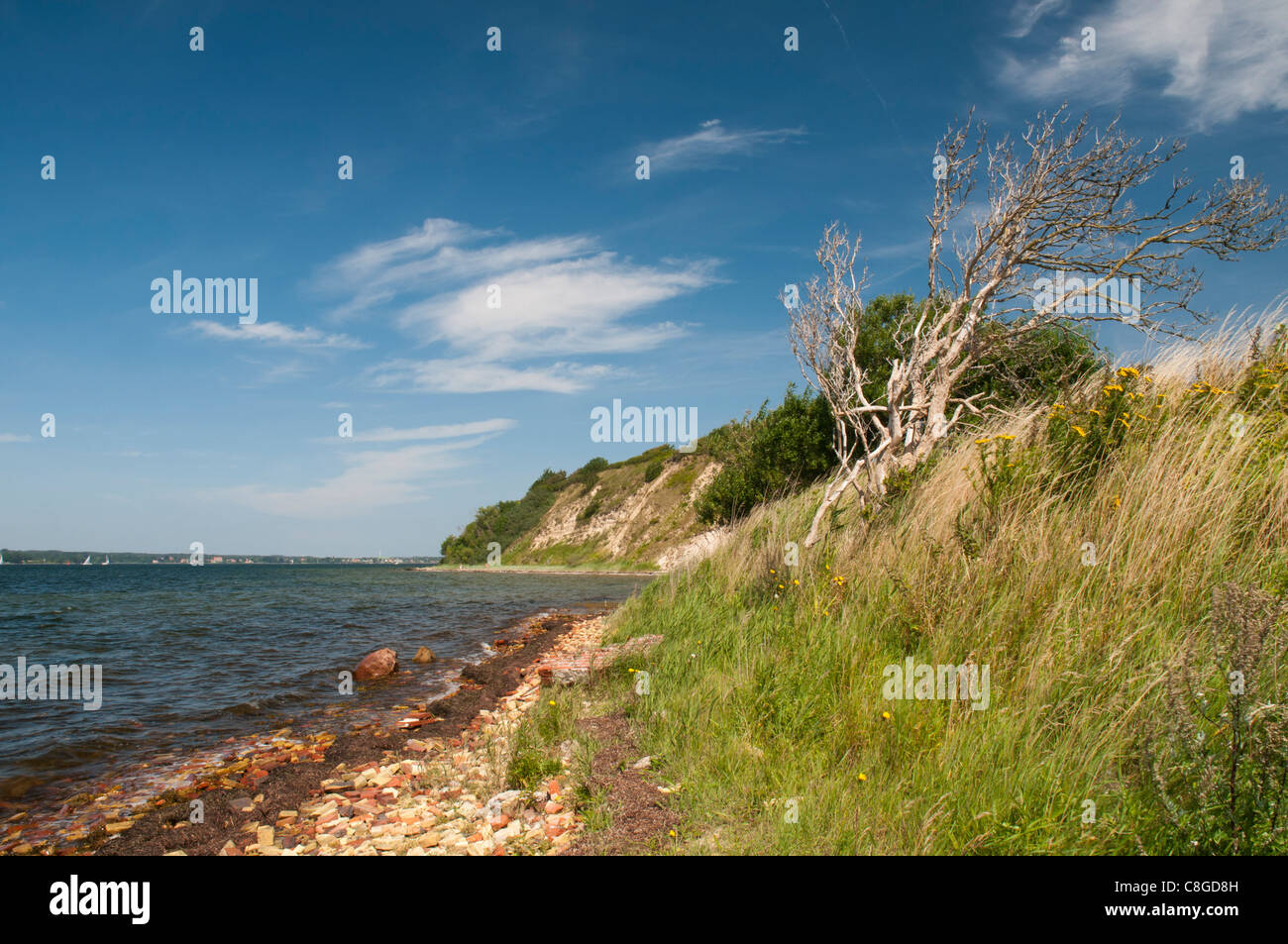Côte raide près de la péninsule Lodge am Meer Quern, Flensburg, Schleswig-Holstein, Allemagne, Europe Banque D'Images