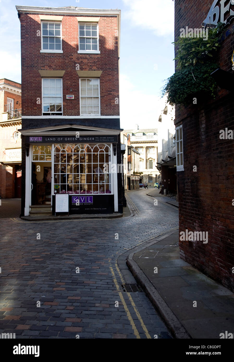 Boutique de la Terre de gingembre vert, Hull, Yorkshire, Angleterre Banque D'Images