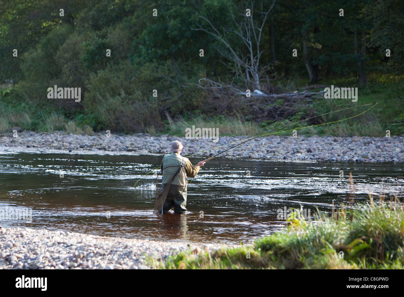 Pêcheur à la mouche pour les saumons remonter le cours d'eau North Esk Montrose Ecosse UK Banque D'Images