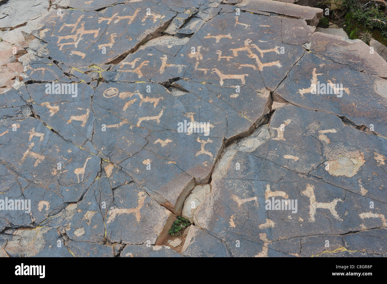 L'Argentine, l'Amérique du Sud, Andes, structure, Jujuy, Humahuaca, El Pintado, dessins de falaise Banque D'Images