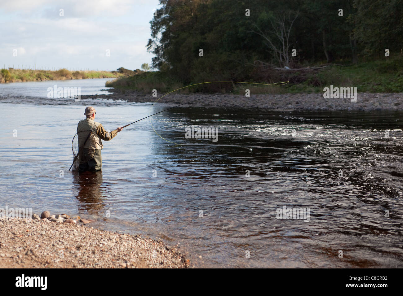 Pêcheur à la mouche pour les saumons remonter le cours d'eau North Esk Montrose Ecosse UK Banque D'Images