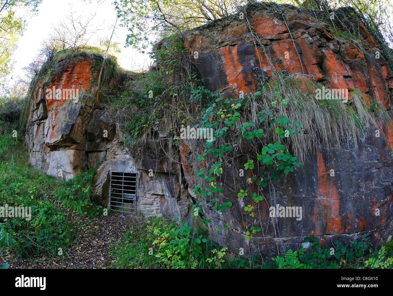 La coloration orange sur un affleurement calcaire rare de magnésium avec un enclos pot trou dans le Derbyshire, Angleterre, RU Banque D'Images