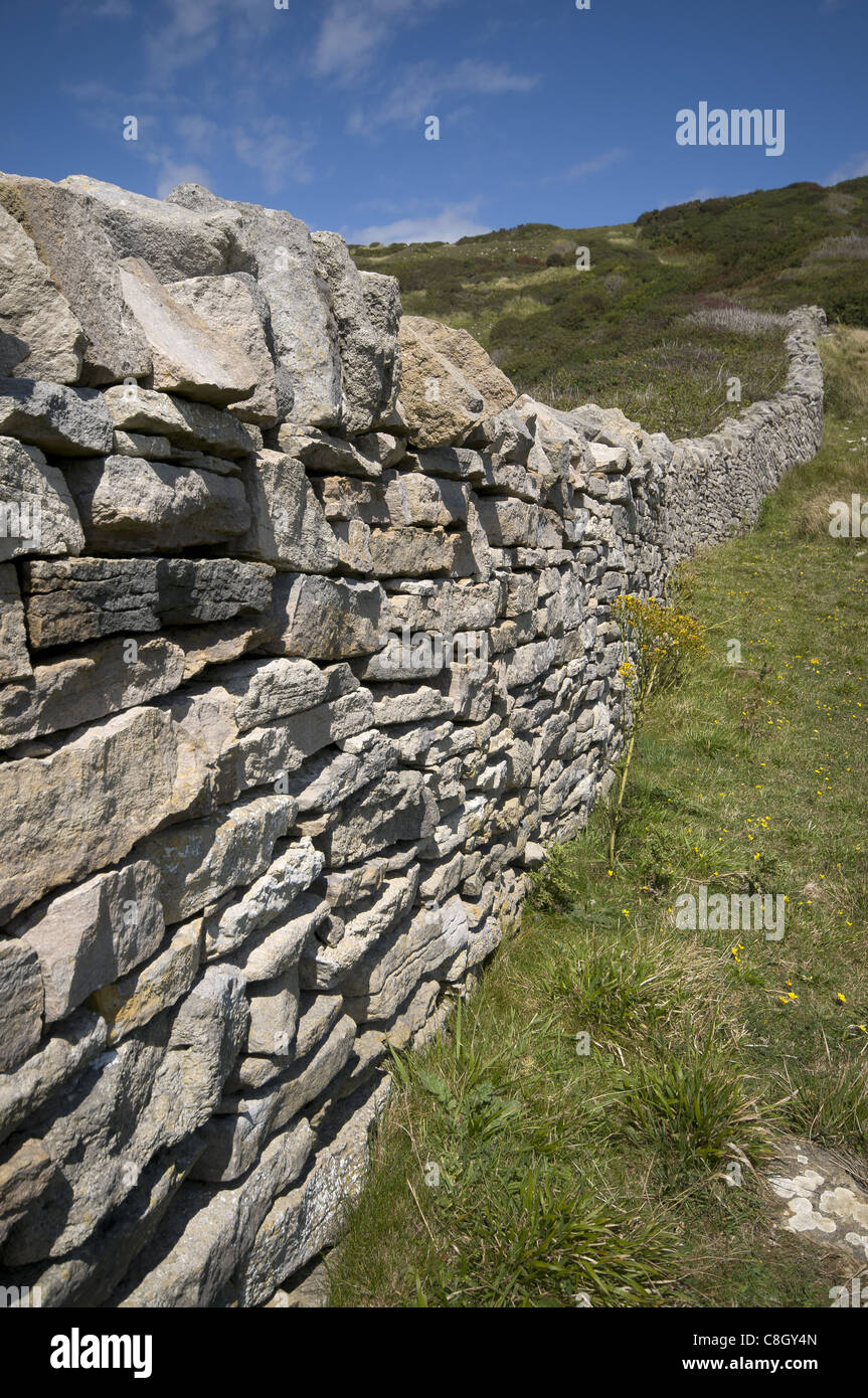 Mur en pierre sèche sur l'île de Purbeck chemin côtier, Dorset, England, UK Banque D'Images