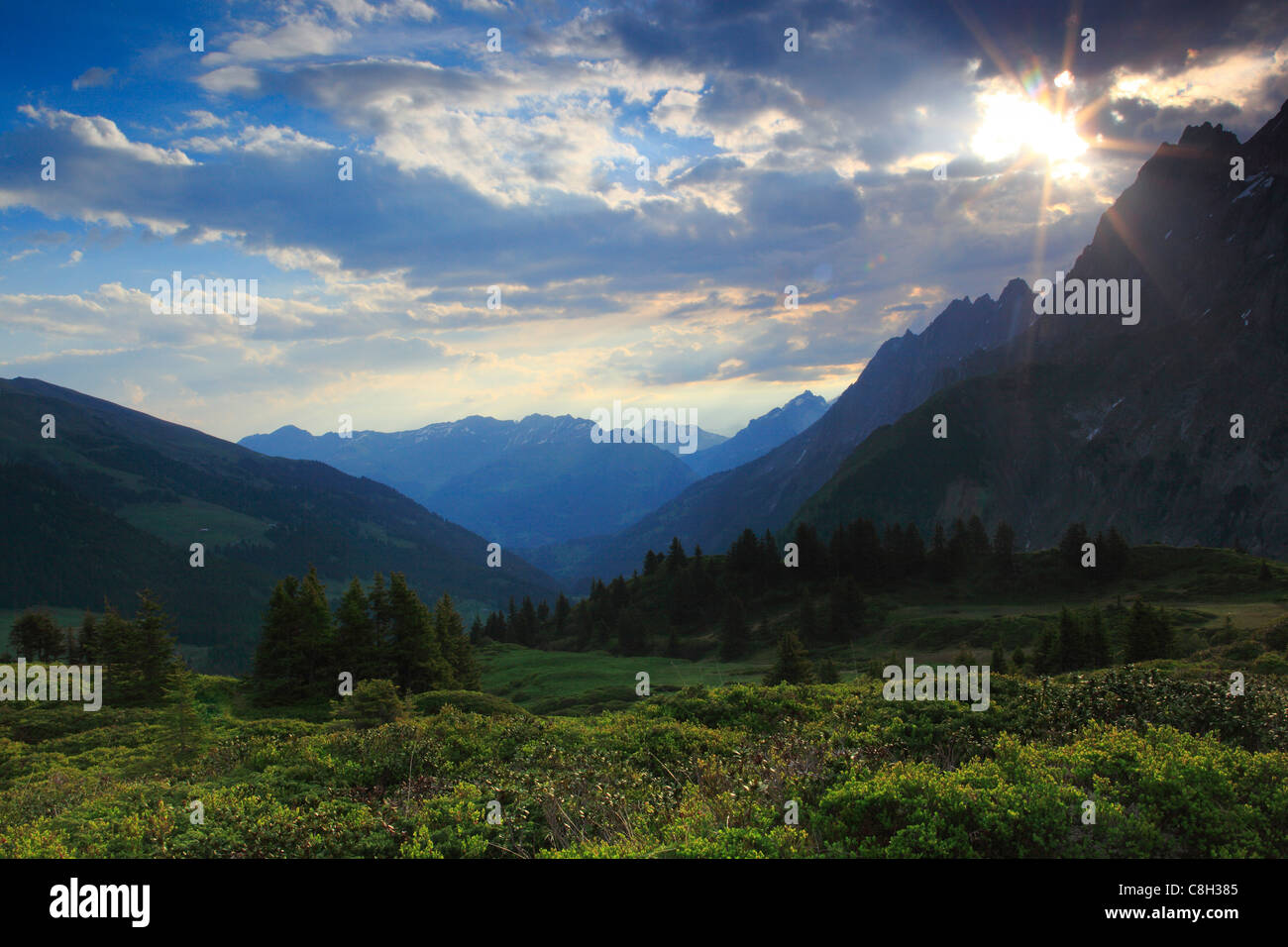 Alp, Alpes, vue, montagne, montagnes, massif de montagne, Berne, Oberland Bernois, Engelhörner, roche, printemps, montagne, sommet Banque D'Images