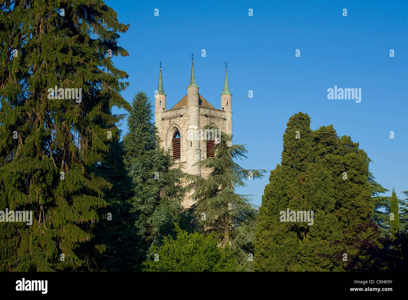 La Suisse, l'Europe, Vaud, Vevey, automne, arbre, Saint Martin, église, canton, Banque D'Images