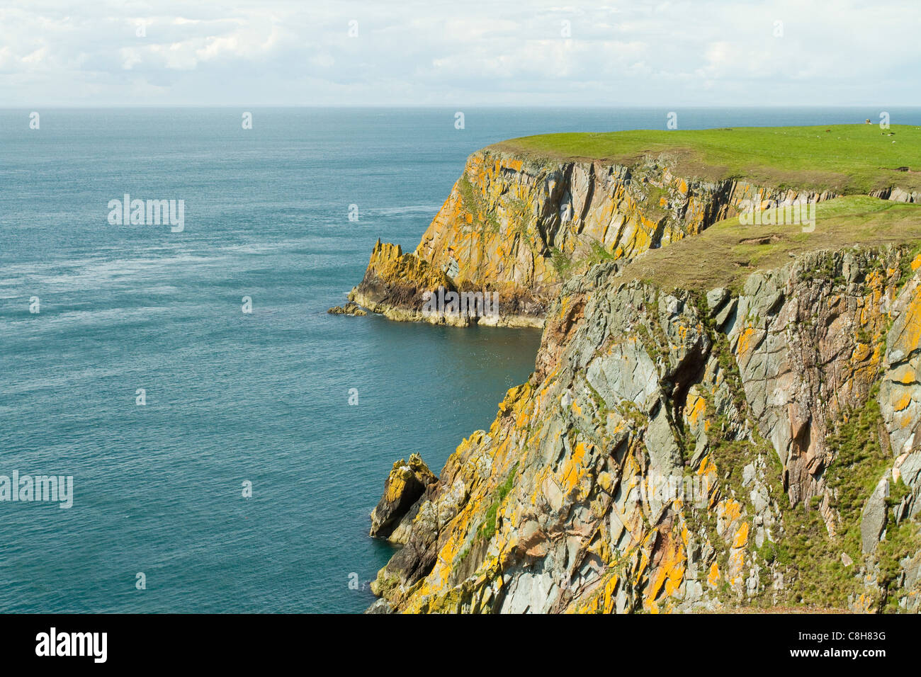Falaises de Mull of Galloway et la mer d'Irlande Banque D'Images