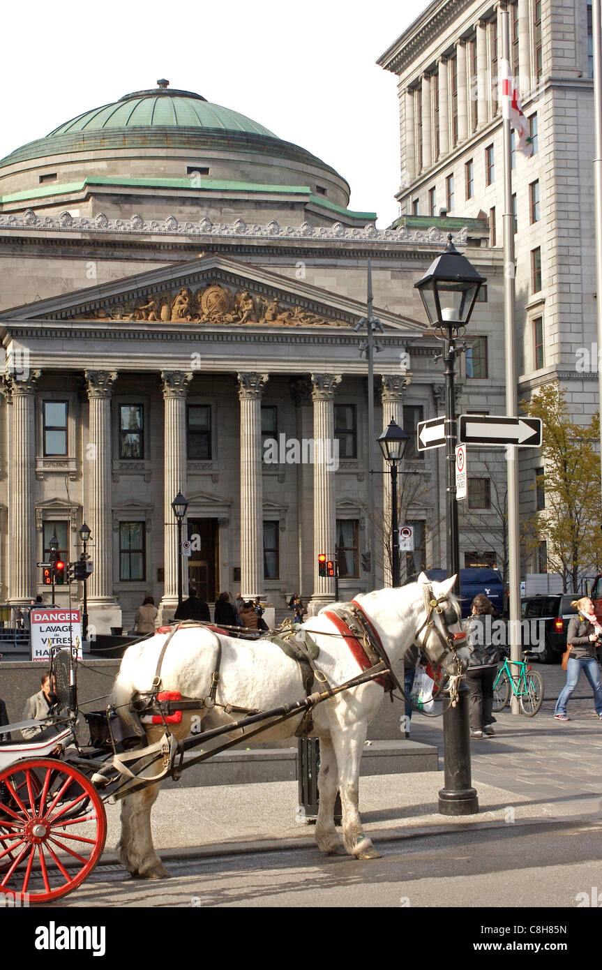 Une calèche s'arrête en face de la Banque de Montréal siège social dans l'ancien quartier de Montréal Montréal, Canada Banque D'Images