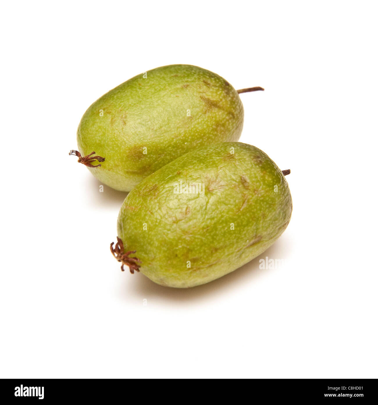 Hardy le kiwi blanc sur un fond de studio. Banque D'Images