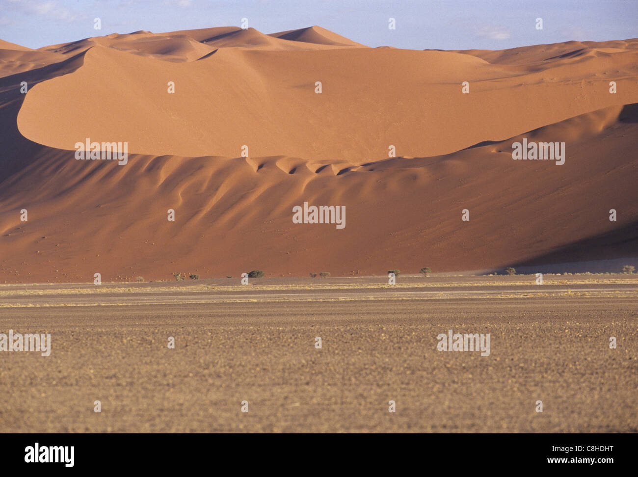 Les Dunes de Sossusvlei,, Sesriem, Namib Naukluft Park,,, la Namibie, l'Afrique Banque D'Images
