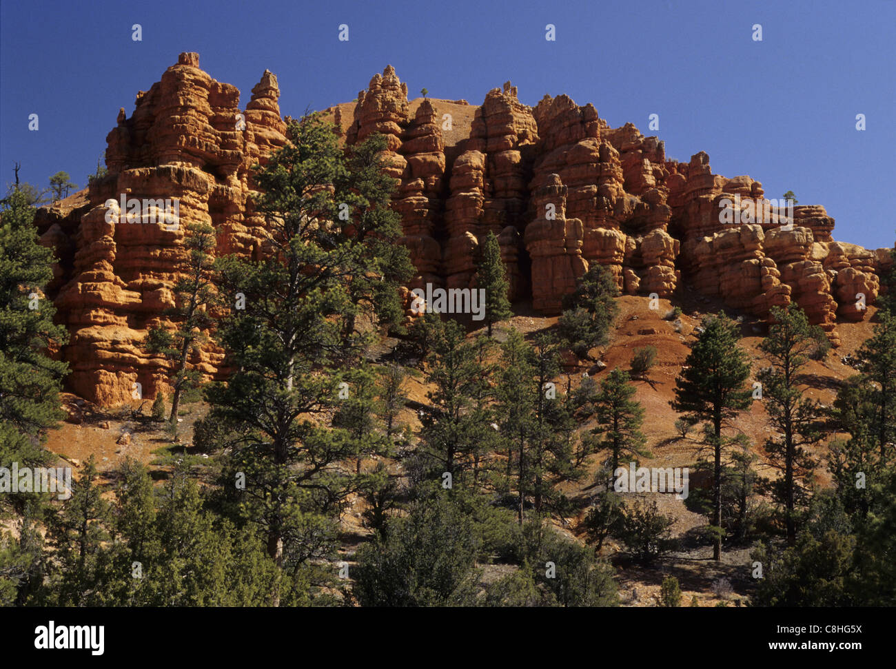 Red Canyon, rochers, pierres, paysage, rochers, pierres, du paysage, de l'Utah, USA, United States, Amérique, Banque D'Images
