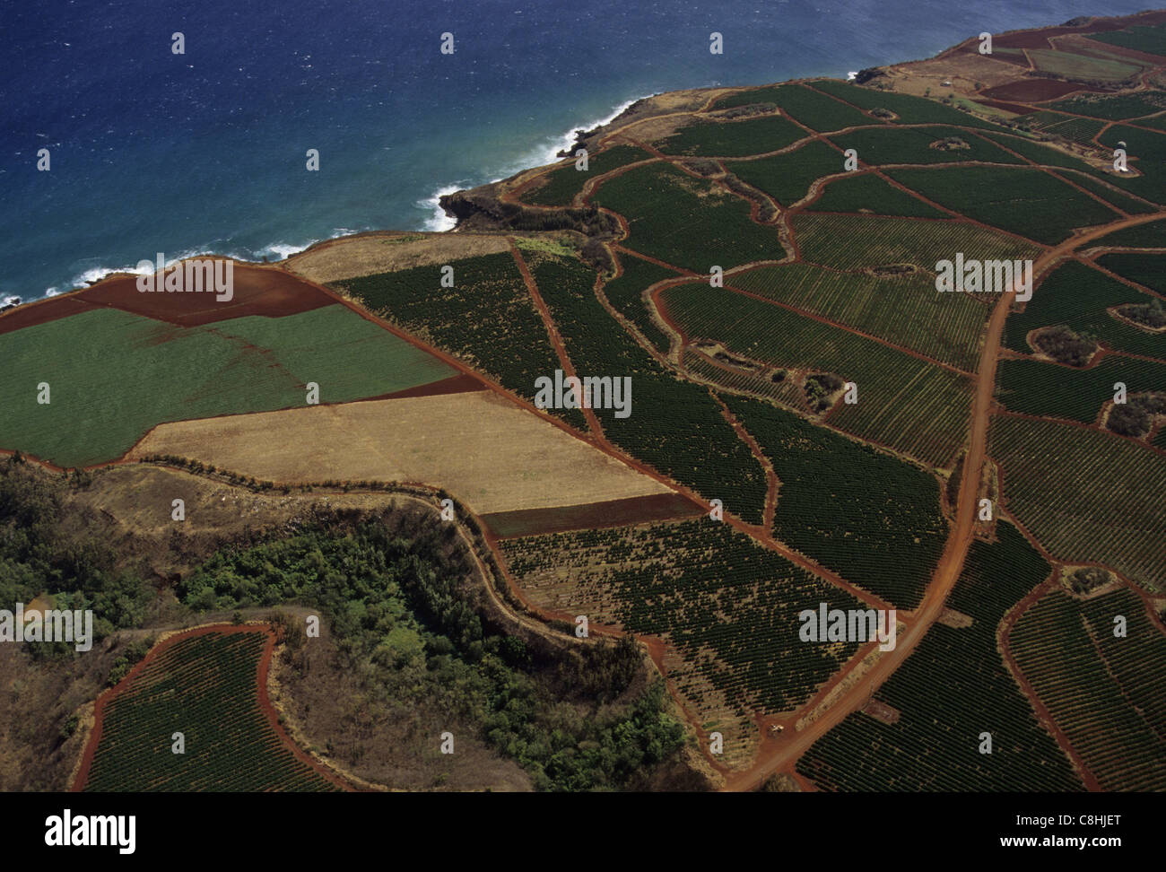 L'agriculture, des champs, vue aérienne, Kauai, Island, Hawaii, USA, United States, Amérique, Banque D'Images