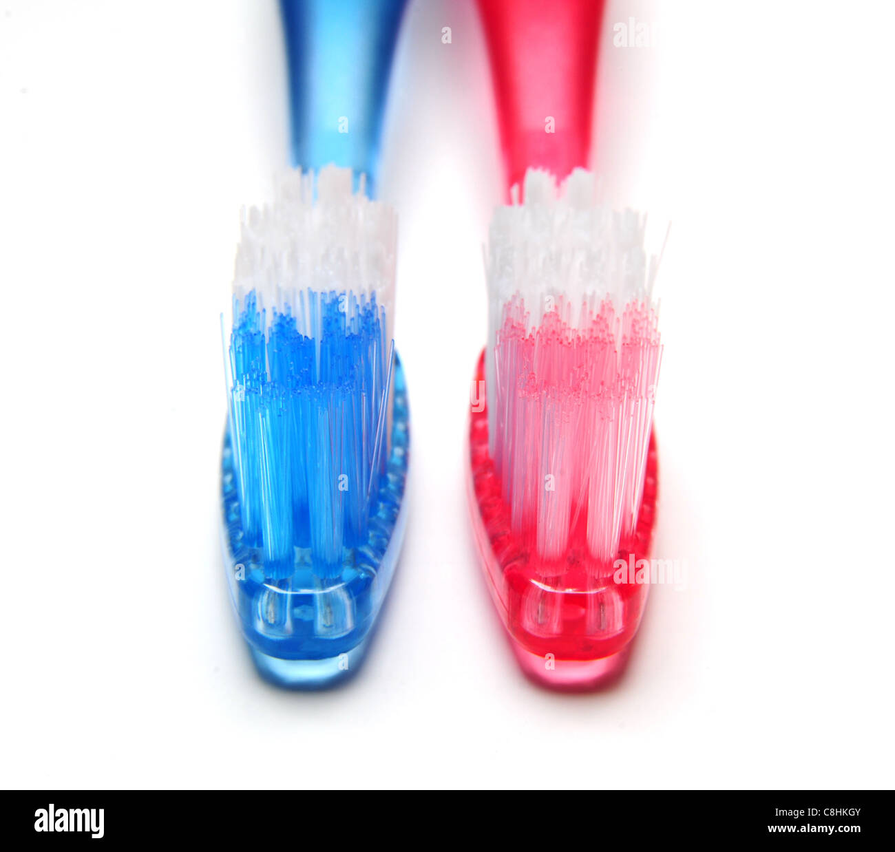 Deux brosses à dents multicolores sur fond blanc Banque D'Images
